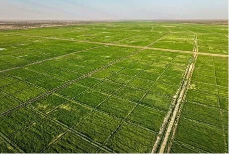 Du Nigeria à la Namibie, l’IA et les satellites gagnent du terrain dans l’agriculture